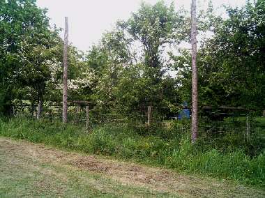 Protective Fencing behind goalpost