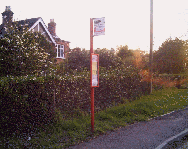 Bus Stop viewed from the East