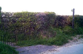 Graveyard entrance from the South.